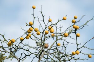 ハイフ施術1ヶ月後の効果と注意点は？