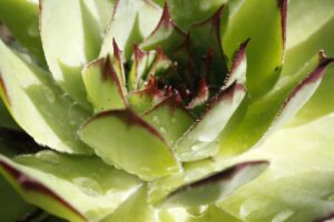 名古屋で顔の脂肪吸引症例が多い医院はどこですか？