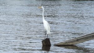 顔脂肪吸引の医師の症例数はどこまで信用できる？